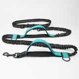 Running Reflective Pull Dog Leash