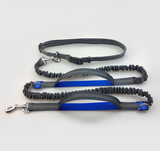 Running Reflective Pull Dog Leash