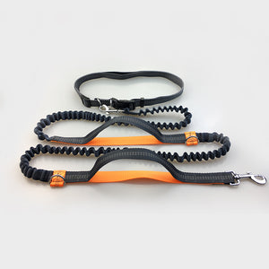 Running Reflective Pull Dog Leash