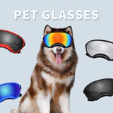 Dog Wind Protection Goggles