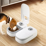 Automatic Pet Feeder For Cats & Dogs with Timer